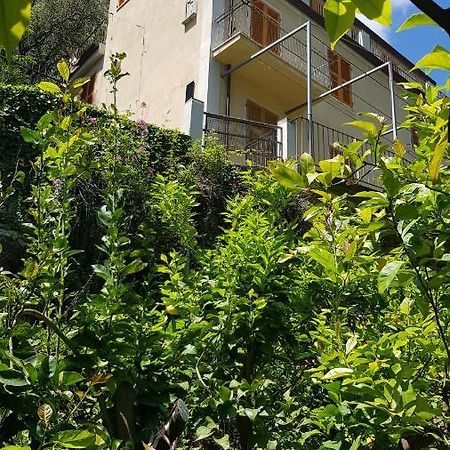מלון מונטרוסו אל מארה La Casa Dei Limoni מראה חיצוני תמונה