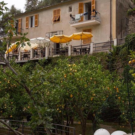 מלון מונטרוסו אל מארה La Casa Dei Limoni מראה חיצוני תמונה