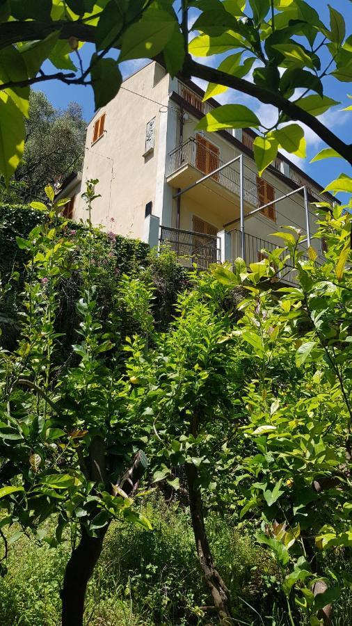 מלון מונטרוסו אל מארה La Casa Dei Limoni מראה חיצוני תמונה